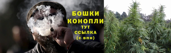 ПСИЛОЦИБИНОВЫЕ ГРИБЫ Кодинск