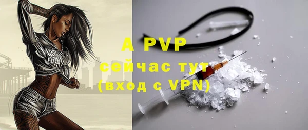 спайс Корсаков