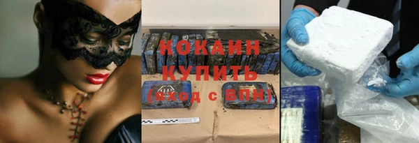 крисы Козловка