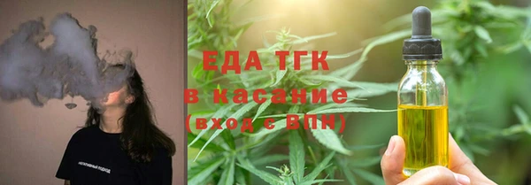 спайс Корсаков