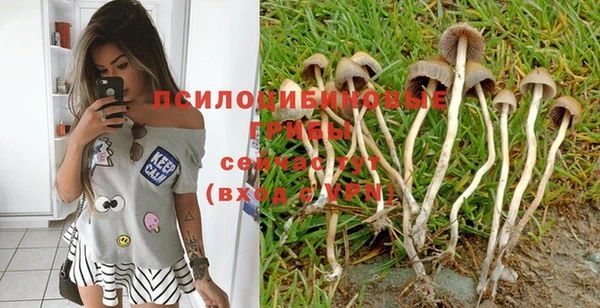 крисы Козловка