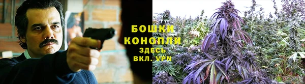 крисы Киренск