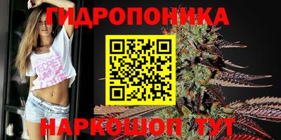 дмт Кимры