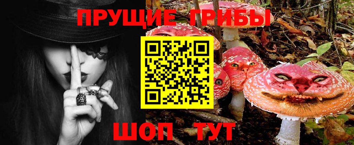 Котовск  даркнет сайт  Вход с VPN  Псилоцибиновые грибы Magic Shrooms  Псилоцибиновые грибы GOLDEN TEACHER 